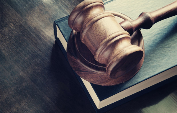 I giudici allargano il ruolo dell’esperto